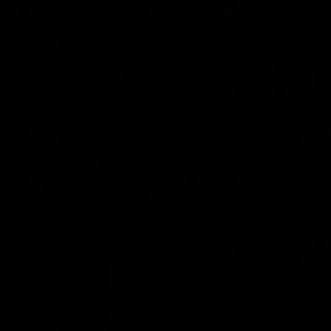 Meet your Posher, Adrian